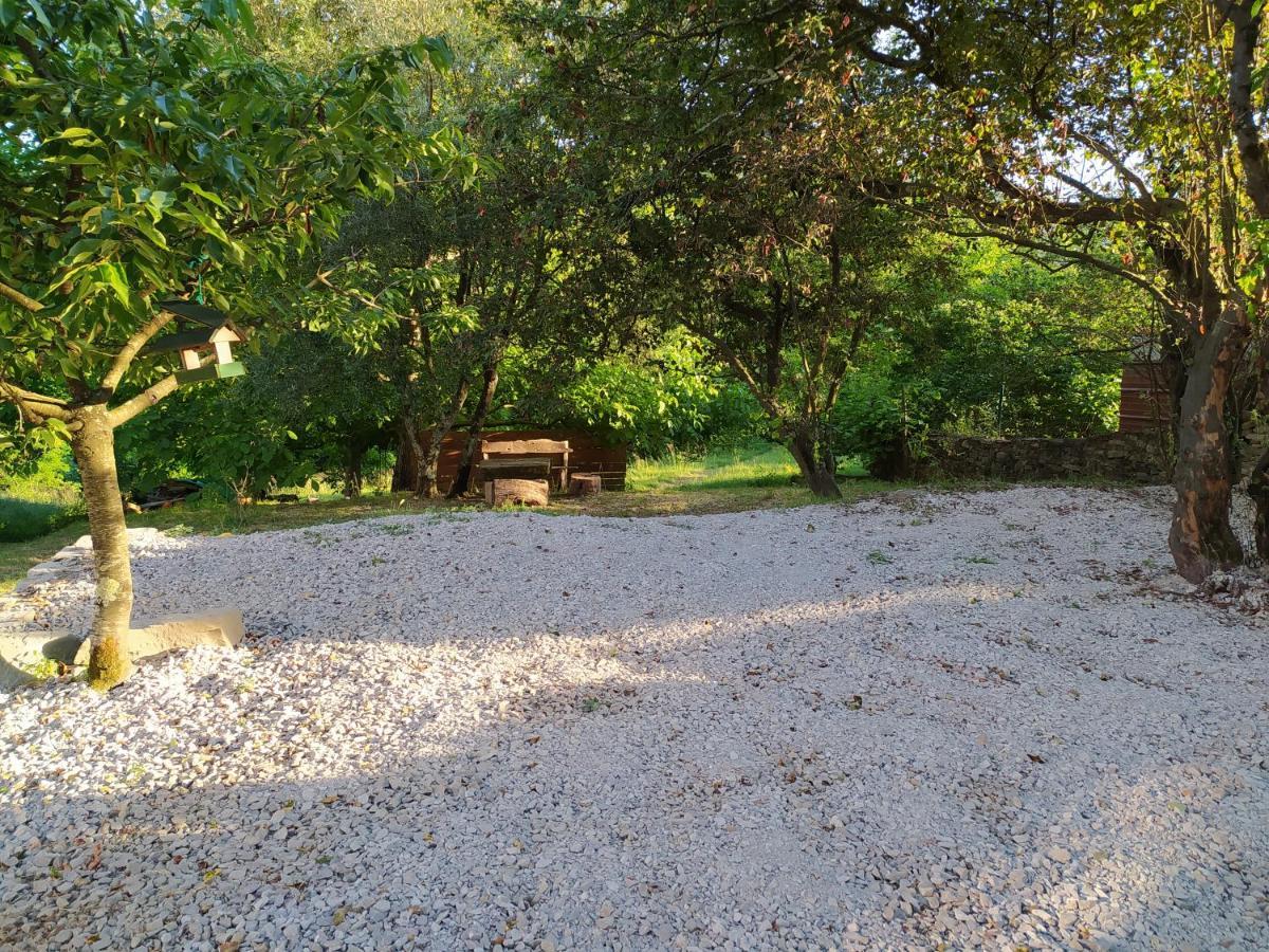 Seki Sest Villa Socerga Exteriör bild